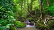 Waterfalls beautiful nature video 4K. Nature video Motion time-lapse nature waterfall in rain forest Shot on Gimbal high quality smooth movement beautiful. Nature and travel concept.