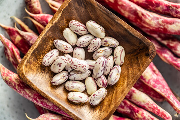 Sticker - Cranberry beans in bowl. Beans pods