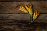 Fototapeta Tulipany - Flor de calabaza