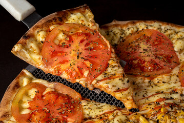 Piece of mozzarella cheese pizza with tomato