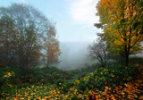 Fototapeta Krajobraz - Jesienny mglisty pejzaż