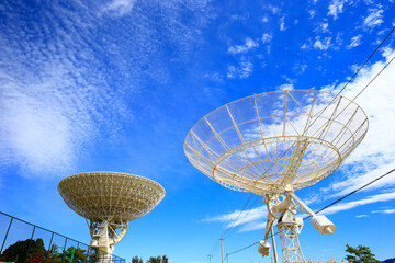 Wall Mural - the observatory radio telescope