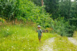 Little boy looking on a flower in a forest in summer