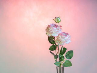 Wall Mural - Artificial rose flower on a pink background. There is room for text. Postcard concept