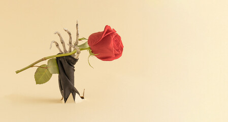 Wall Mural - The skeleton hand holds the rose. Minimal romantic love concept. Halloween creative background. Copy Space.