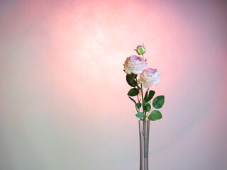 Wall Mural - Artificial rose flower on a pink background. There is room for text. Postcard concept