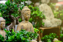 Close Up Of  Buddha Statue In Bonsai Trees Garden