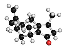 Rotundone Peppery Taste Molecule, Illustration