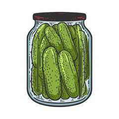 Wall Mural - pickled cucumbers sketch raster illustration