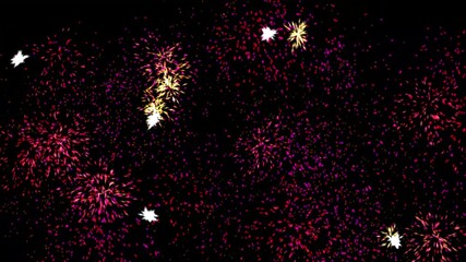 Wall Mural - Fireworks motion graphics with night background