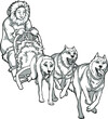Sled dogs, animal helpers. Linear drawing of dogs driving a man, traditions of the northern peoples, black and white drawing.