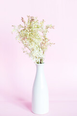 Canvas Print - Bouquet of meadowsweet (Latin Filipndula), jasmine and wild roses in a vase on a pink background.	