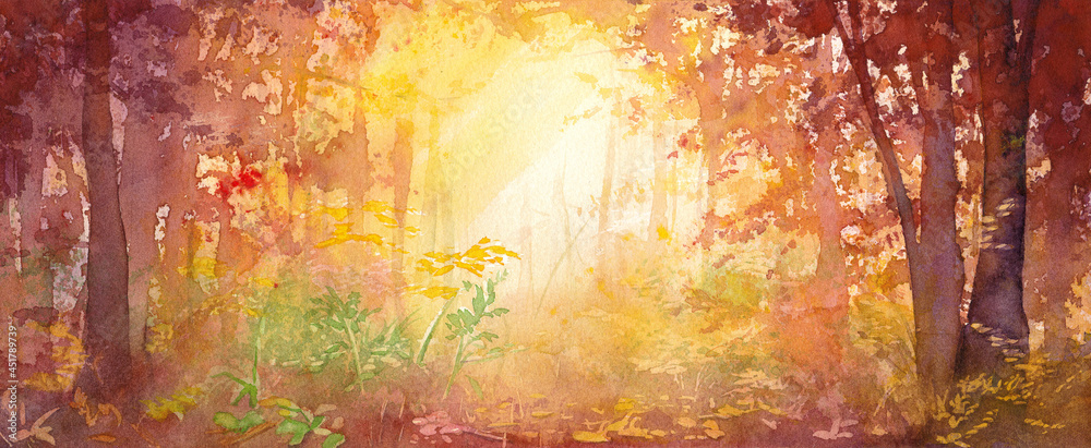 水彩風景画 水彩 森 初心者でもかんたん 透明感ある森の風景を水彩画