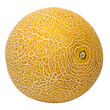 Galia melon, also sarda melon, isolated from above. Fresh, ripe fruit of Cucumis melo var. reticulatus, a sweet, aromatic melon with slightly green fruit flesh and a yellow, netted rind.