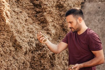 Wall Mural - The grain, being poured from the hands of the farmer.