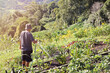 © Austockphoto - Young boy watering plants in organic farm