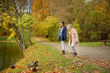 Wall Mural - Two cute young sisters having fun on beautiful autumn day. Happy children playing in autumn park. Kids gathering yellow fall foliage.