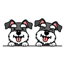 Cute Miniature Schnauzer Dog Cartoon, Vector Illustration