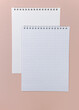 © Мария Шапулина - Blank notebook pages. Background for writing stationery text.