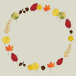 Bright, colorful circle autumn theme frame made of fall leaves and acorns on grey background. Fall, seasonal, Thanksgiving. Copy space.