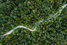 Backlights Of A Driving Car In A Curvy Road As Long Exposure From A Drone, Having A Trip To A Green Summer Forest At The Evening.