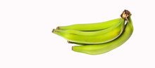Organic Green Banana - Musa X Paradisiaca