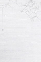 Poster - Spider web white background template vector