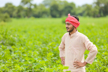 Wall Mural - Young indian farmer standing at agriculture field.