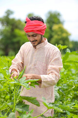 Wall Mural - Young Indian farmer standing at green agriculture field.