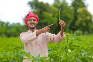 Wall Mural - Indian farmer standing and holding ladyfinger in hand at agriculture field.