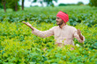 Young indian farmer at agriculture field.