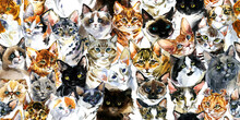 Cats Seamless Pattern For Textile. Watercolor Cat Print