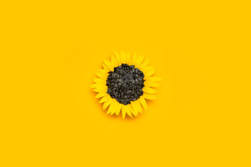 Fotomurales - Beautiful fresh sunflower with sunflower seeds inside on yellow background. Harvest time agriculture farming. Healthy oils, food. Sunflower natural background Flower card Flat lay top view copy space
