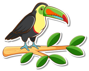 Wall Mural - A toucan bird standing on a branch sticker