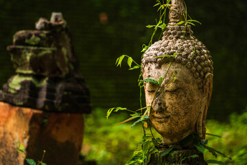 Ancient buddha figures Wat Umong Suan Puthatham is a Buddhist temple in the historic centre and is a Buddhist temple is a major tourist attraction with green forest nature in Chiang Mai,Thailand.