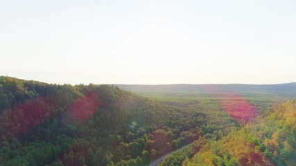 Wall Mural - Aerial video of mountains, road and summer forest