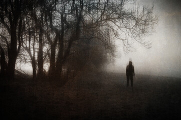 Wall Mural - A mysterious figure. Standing in the countryside. On a spooky winters day. With a grunge, blurred edit.