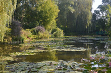 Claude Monet's Garden And Pond In Giverny France