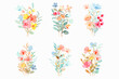 © Asrulaqroni - Colorful floral bouquet collection with watercolor