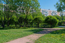 Green Park With Grass, Trees, Pond, Yellow Flowering Dandelions, Walking Path In Front Of A Multi-storey Building, Russia