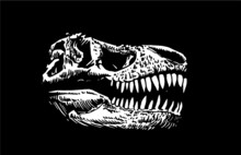 Graphical 3D Illustration Of Skull Of Tyrannosaurus On Black Background, Vector Illustration For Design,logo And Typography. 