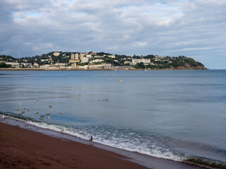 Wall Mural - Torquay South Devon Coastline, Popular holiday location in United Kingdom