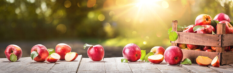 Wall Mural - Apples In A Basket Outdoor Sunny Background