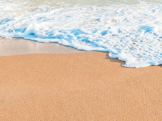 wave on a sandy beach on a sunny day, copy space