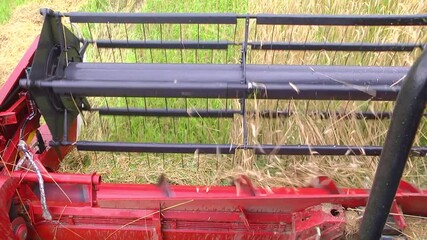 close up knife of combine spinning and cutting yellow ears of wheat. farm implements: closeup of a g