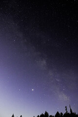 Wall Mural - starry night sky