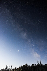 Wall Mural - starry night sky