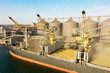 © Elena - Loading grain into holds of sea cargo vessel through an automatic line in seaport from silos of grain storage. Bunkering of dry cargo ship with grain