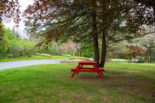 An Empty Red Wooden Picnic Table Under Tall Mature Trees. There's A Park Bench, Flowers, Shrubs, And A Footpath In The Background With Large Green Lush Trees And A Mature Vibrant Green Grass Lawn.
