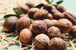 © Pixel-Shot - Shea nuts on table, closeup